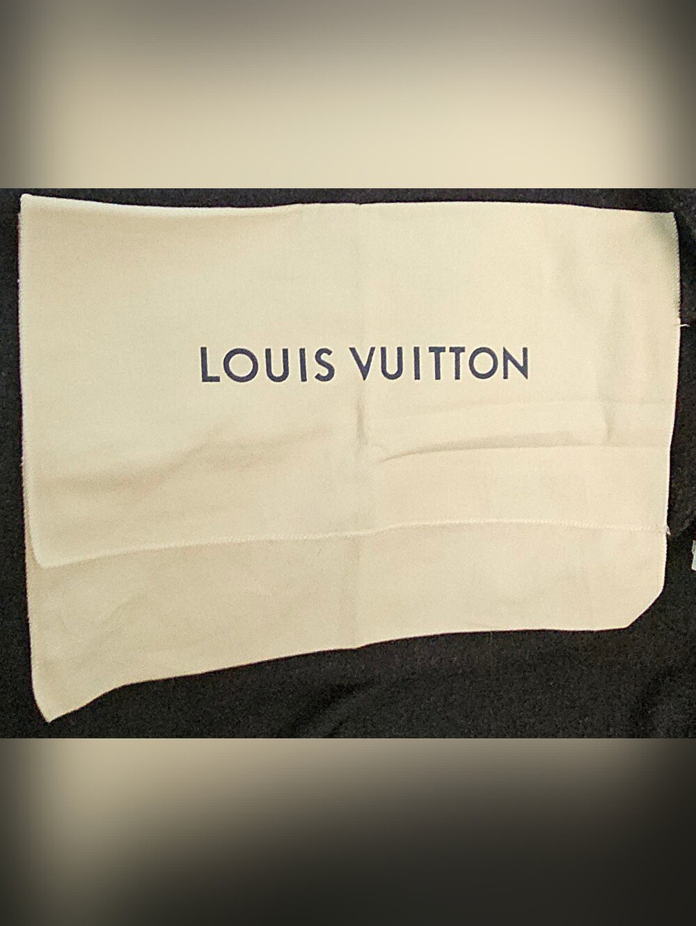 Louis Vuitton Large Dust Bag Neverfull OnTheGo Tote Envelope Pouch Authentic LV